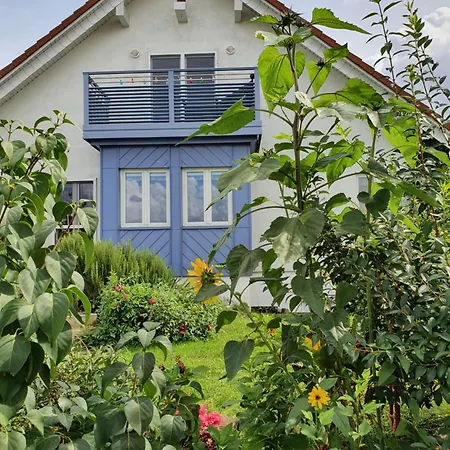 Gaestewohnung Elbblick - Reinkommen, Wohlfuehlen Und Den Ausblick Geniessen