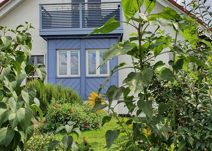 Gaestewohnung Elbblick - Reinkommen, Wohlfuehlen Und Den Ausblick Geniessen